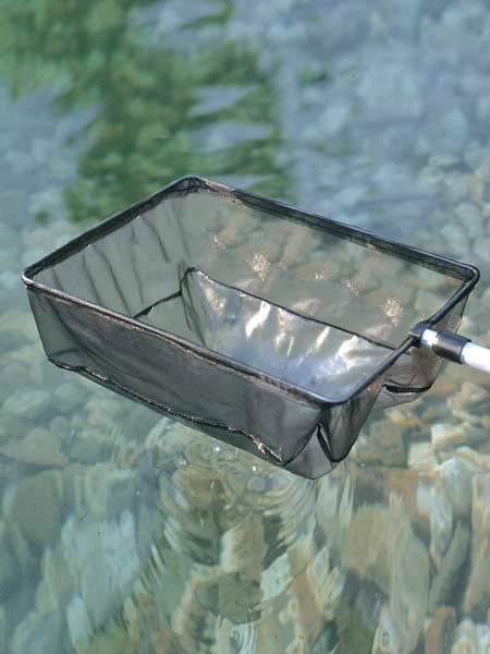 Algenkescher Gross (Art.Nr. 36297) 1 Algenkescher Gross (Art.Nr. 36297)