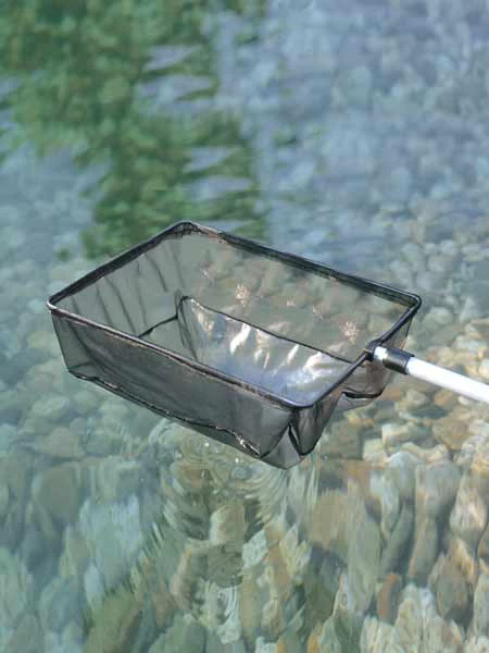 Algenkescher Klein (Art.Nr. 36298) 1 Algenkescher Klein (Art.Nr. 36298)