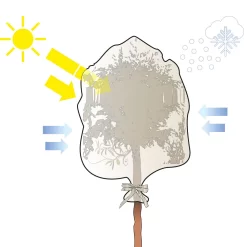 Winterschutz Vlieshaube "Sternchen" (Art.Nr. Vi29277) -Gartenpflanzen Verkauf Kronenschutz Icon 1280x1280 1 1280x1280