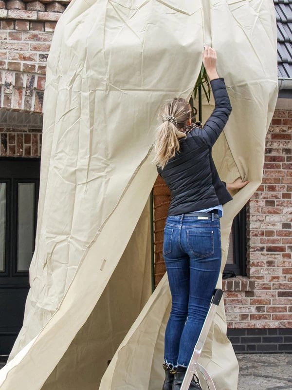 Winterschutz Palmen-Vlieshaube (Art.Nr. Vi29597) 2 Winterschutz Palmen-Vlieshaube (Art.Nr. Vi29597) – Bild 2