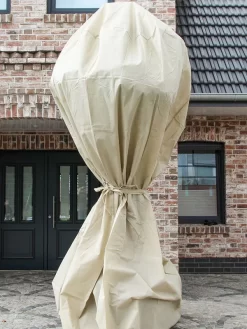 Winterschutz Palmen-Vlieshaube (Art.Nr. Vi29597) 7 Winterschutz Palmen-Vlieshaube (Art.Nr. Vi29597) -Gartenpflanzen Verkauf Palmen Vlieshaube 3 1280x1280