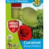 Bayer Curamat® Rosen-Pilzfrei