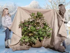 Vlies-Thermomantel, Uni Beige (Art.Nr. Vi36002) -Gartenpflanzen Verkauf Wintervlies Thermomantel 3 1280x1280