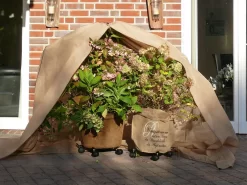 Vlies-Thermomantel, Uni Beige (Art.Nr. Vi36002) -Gartenpflanzen Verkauf Wintervlies Thermomantel 5 1280x1280