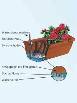 Blumenkasten Aqua Andalucia -Gartenpflanzen Verkauf aquaandalucia detail 77365 1 77388 1 1280x1280