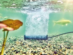 AquaOxy Belüfterstab L Von OASE (Art.Nr. 88669) -Gartenpflanzen Verkauf beluefterstab l 2 1280x1280