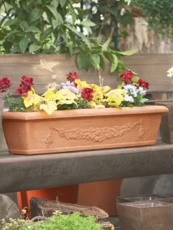 Blumenkasten Bergamo Mit Ornamenten -Gartenpflanzen Verkauf blumenkasten bergamo bepfla 1280x1280