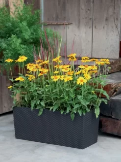 Blumenkasten Rato Case In Flechtoptik -Gartenpflanzen Verkauf blumenkasten rato square be 1280x1280