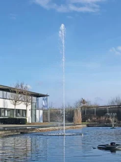 Cluster 15 - 38 Von OASE (Art.Nr. 45480) 7 Cluster 15 - 38 Von OASE (Art.Nr. 45480) -Gartenpflanzen Verkauf cluster 15 38 3 1280x1280