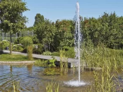 Cluster 15 - 38 Von OASE (Art.Nr. 45480) 6 Cluster 15 - 38 Von OASE (Art.Nr. 45480) -Gartenpflanzen Verkauf cluster 15 38 4 1280x1280