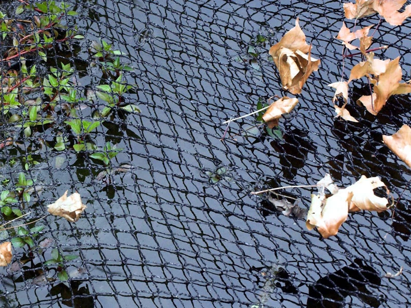 Cover Net Von Velda 2 Cover Net Von Velda – Bild 2