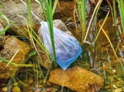 AquaActiv DuoBoost Von OASE -Gartenpflanzen Verkauf duoboost6 1280x1280