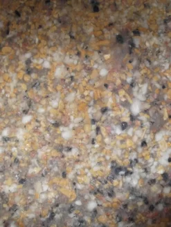 Bachlauf-Set 'Donau' (Art.Nr. 30120) -Gartenpflanzen Verkauf ems material 81137 2 1280x1280