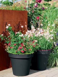 Pflanzkübel E&K Bicolor 5 Pflanzkübel E&K Bicolor -Gartenpflanzen Verkauf eundk bicolor rund57fc9f0e47970 1280x1280