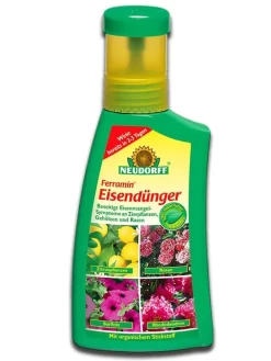 Ferramin EisendĂŒnger