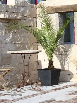 Pflanzkübel Geflecht-Dekor 18 Pflanzkübel Geflecht-Dekor -Gartenpflanzen Verkauf flechtkuebel eckig niedrig57ebb4ed38d1b 1280x1280