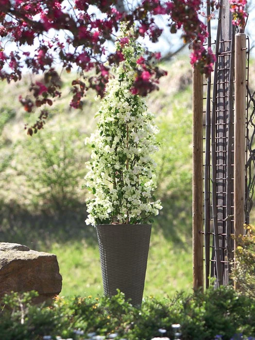 Pflanzkübel Geflecht-Dekor 7 Pflanzkübel Geflecht-Dekor – Bild 7