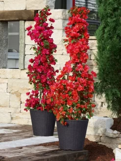 Pflanzkübel Geflecht-Dekor 19 Pflanzkübel Geflecht-Dekor -Gartenpflanzen Verkauf flechtkuebel rund niedrig b 1280x1280