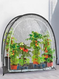 Foliengewächshaus "MARY`S" (Art.Nr. Vi26579)