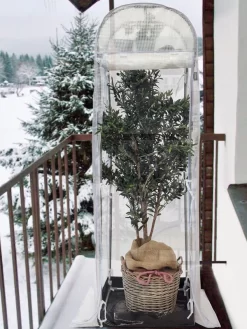 Frost-Schutzhaus SNOW (Art.Nr. V29933) -Gartenpflanzen Verkauf frost schutzhaus balkon 1280x1280