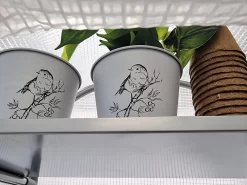 Frost-Schutzhaus SNOW (Art.Nr. V29933) -Gartenpflanzen Verkauf frost schutzhaus innen 1280x1280