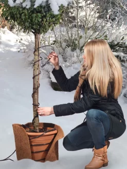 Frostschutz-Heizkabel Für Kübelpflanzen -Gartenpflanzen Verkauf heizkabel frostschutz 1280x1280