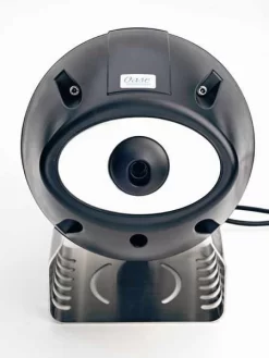 Jumping Jet - Rainbow Star (Art.Nr. 50052) -Gartenpflanzen Verkauf jumping jet j55599ab6bb720 1280x1280