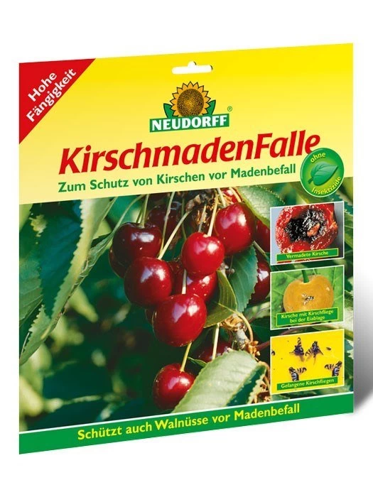 Kirschmadenfalle 1 Kirschmadenfalle