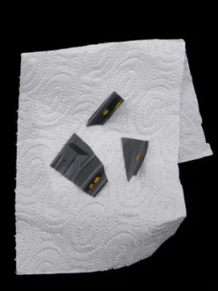 7-Punkt-Marienkäfer (Art.Nr. KB2016) -Gartenpflanzen Verkauf marienkaefer eier 80491 2 1280x1280