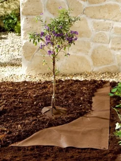 Bio-Mulchvlies Aus Neutralem Vliesmaterial