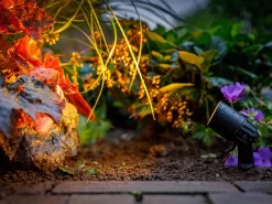 Garten-Spotstrahler 'Neso' Von Garden-Lights (Art.Nr. 2606061) -Gartenpflanzen Verkauf neso 3 1280x1280