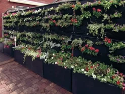 Overgrowing Mat Von Velda (Art.Nr.Vel127590) -Gartenpflanzen Verkauf overgrowing mat beispiel 1280x1280