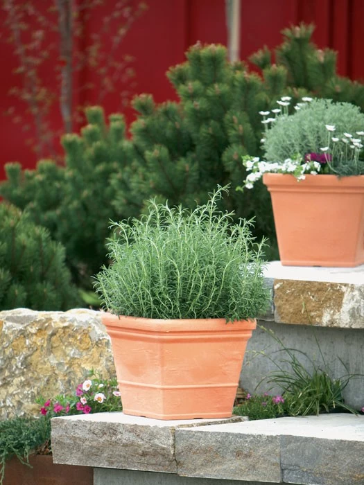 Pflanzkübel Parma 2 Pflanzkübel Parma – Bild 2