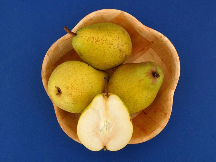 Birne Alexander Lucas 2 Birne Alexander Lucas – Bild 2