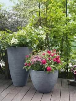 Pflanzkübel Rund Rillentopf 5 Pflanzkübel Rund Rillentopf -Gartenpflanzen Verkauf rillentopf rund bepflanzt 1280x1280