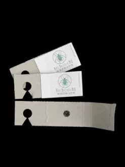 Schlupfwespe (Art.Nr. KB3056) 6 Schlupfwespe (Art.Nr. KB3056) -Gartenpflanzen Verkauf schlupfwespe versand verpac 80549 2 1280x1280