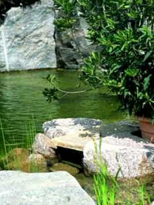 BIOsys Skimmer+ Von OASE (Art.Nr.57137) 2 BIOsys Skimmer+ Von OASE (Art.Nr.57137) – Bild 2