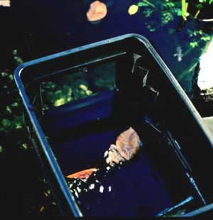 BIOsys Skimmer+ Von OASE (Art.Nr.57137) 3 BIOsys Skimmer+ Von OASE (Art.Nr.57137) – Bild 3