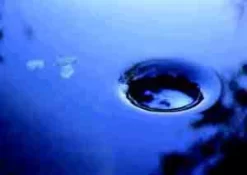 AquaSkim 40, Oberflächenabsauger Von OASE (Art.Nr.56907) -Gartenpflanzen Verkauf skimmer j1 1280x1280