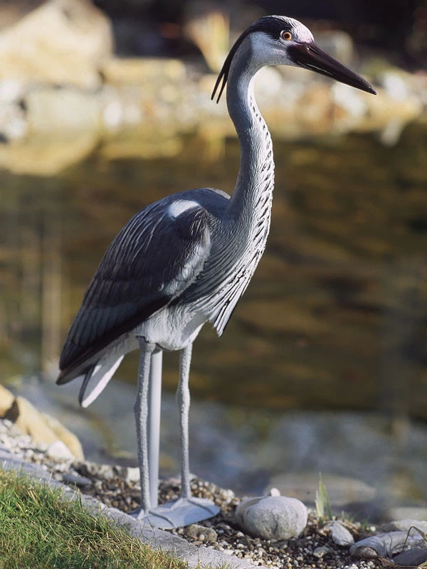 Teichfigur Fischreiher (Art.Nr. 36868) 1 Teichfigur Fischreiher (Art.Nr. 36868)