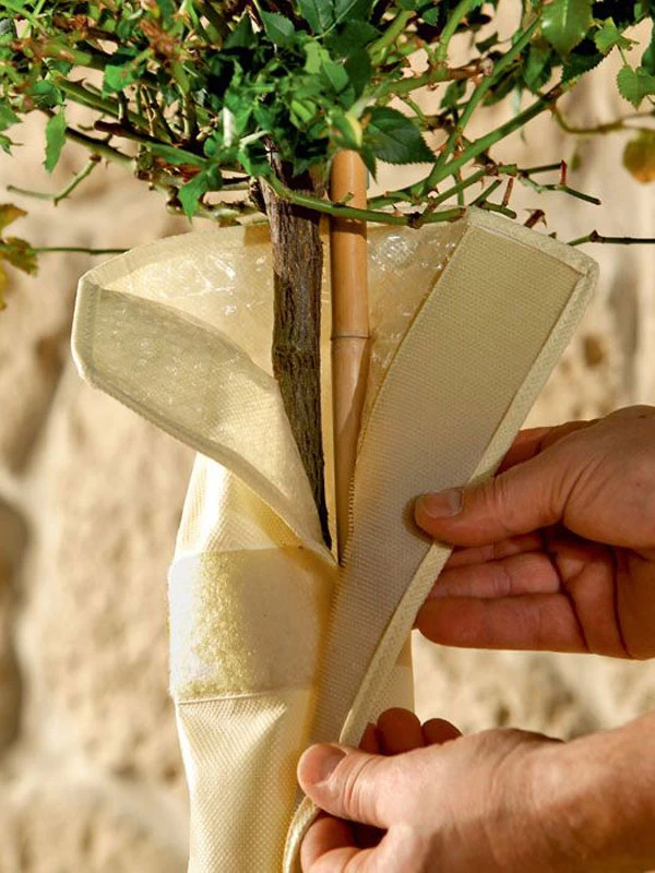 Stammschutz "ThermoPlus" (Art. STA 100-30) 2 Stammschutz "ThermoPlus" (Art. STA 100-30) – Bild 2