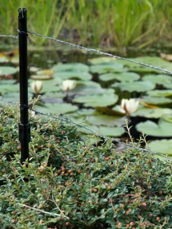 Ultra Protector Von Velda (Art.Nr.Vel128026) -Gartenpflanzen Verkauf ultraprotector 2 1280x1280