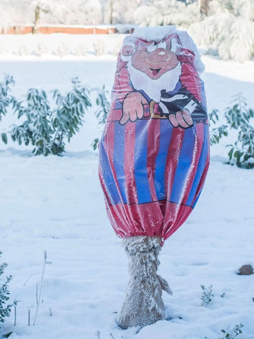 Winterschutz-Vlieshaube "blau-rot" (Art.Nr. Vi29136) 3 Winterschutz-Vlieshaube "blau-rot" (Art.Nr. Vi29136) – Bild 3