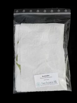 Phytoseiulus-Raubmilbe (Art.Nr. KB4480) 5 Phytoseiulus-Raubmilbe (Art.Nr. KB4480) -Gartenpflanzen Verkauf zipbeutel versand raubmilbe 80537 2 1280x1280