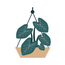 Gartenpflanzen Verkauf