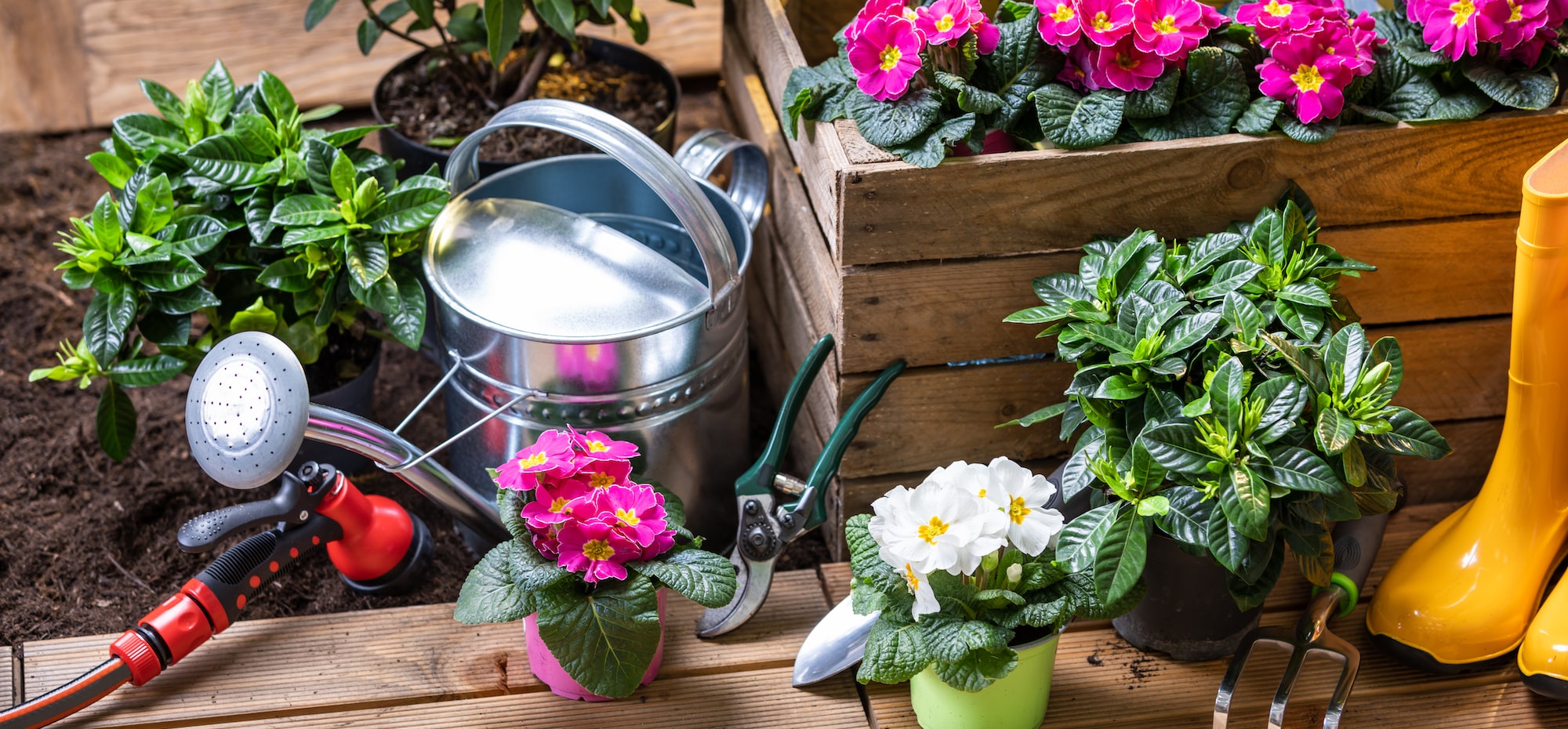 Gartenpflanzen Verkauf -Gartenpflanzen Verkauf wiosenne prace w ogrodzie 1 min